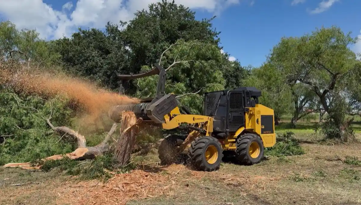 Yellow wheeled mulcher grinding a downed mesquite tree, wood chips spraying against a blue sky